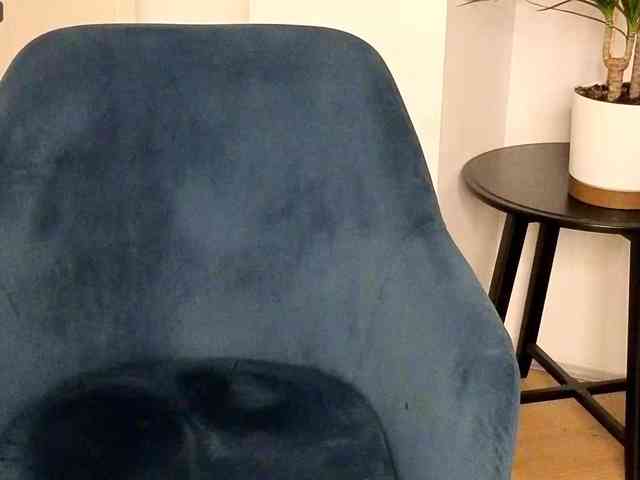 NoFaceModel webcam