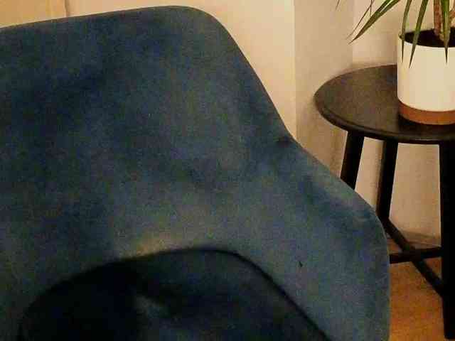 NoFaceModel webcam