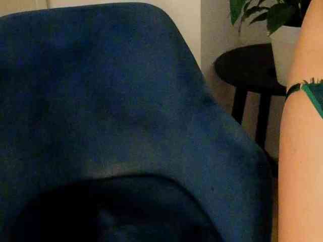 NoFaceModel webcam