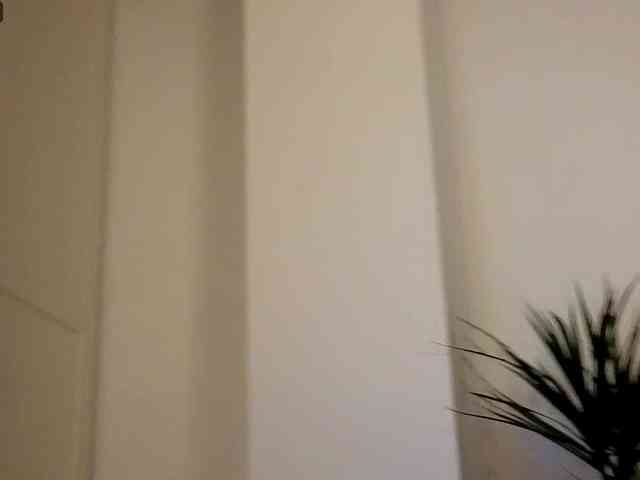 NoFaceModel webcam