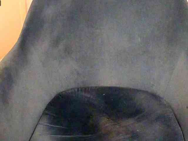 NoFaceModel webcam