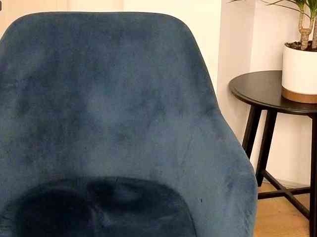 NoFaceModel webcam