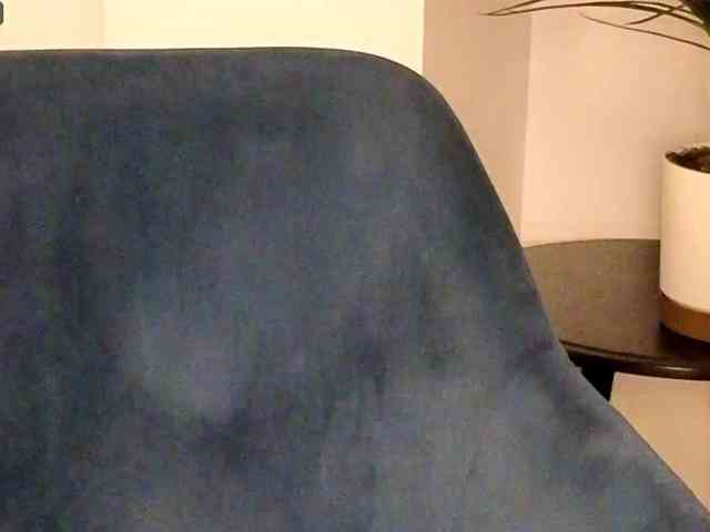 NoFaceModel webcam
