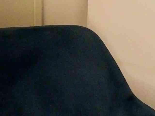 NoFaceModel webcam