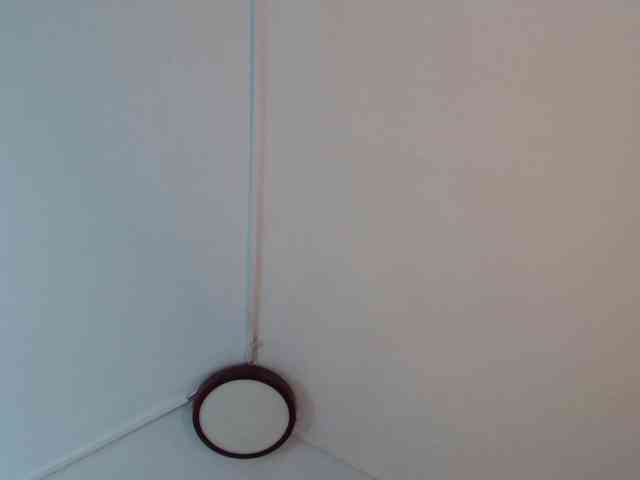 ScarletLevis webcam