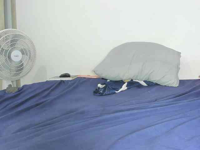 Maite-newmilf webcam