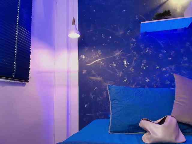 LilyRossi webcam