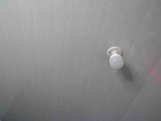 Milaanddalia webcam
