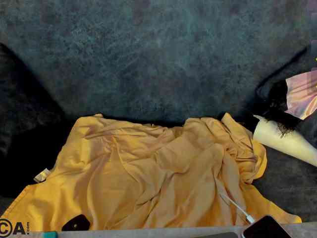 Emilia-Wayne webcam