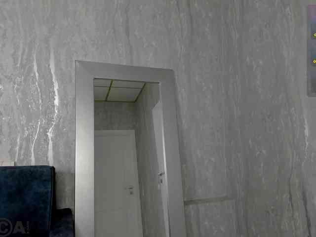 Emilia-Wayne webcam