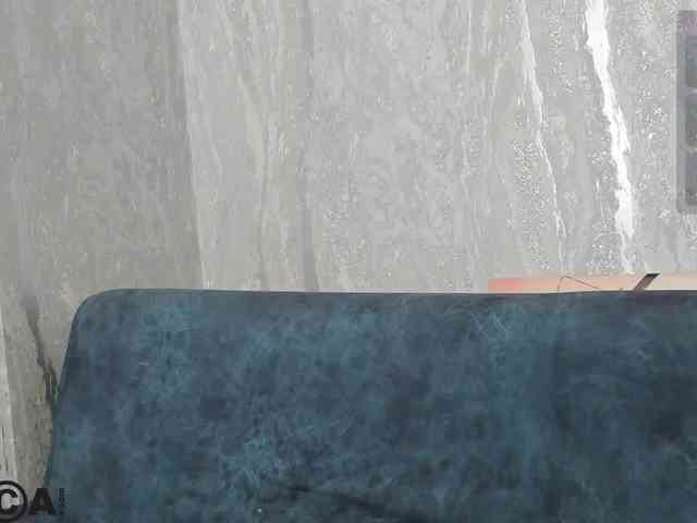 Emilia-Wayne webcam