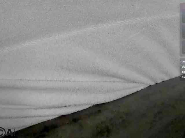 Emilia-Wayne webcam