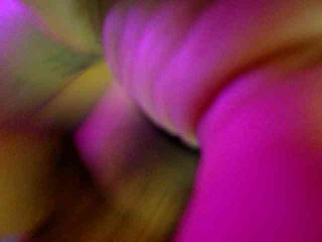 Juiicy01 webcam