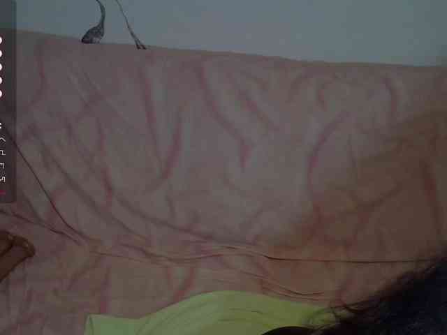 VenusL webcam