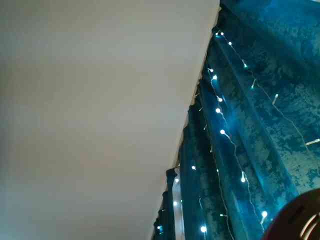 KorolevaAnala KorolevaAnala