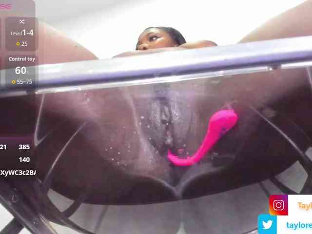 taylorr-evans webcam