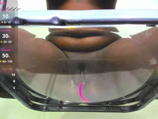 taylorr-evans webcam