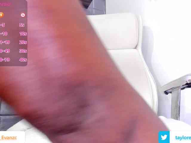 taylorr-evans webcam