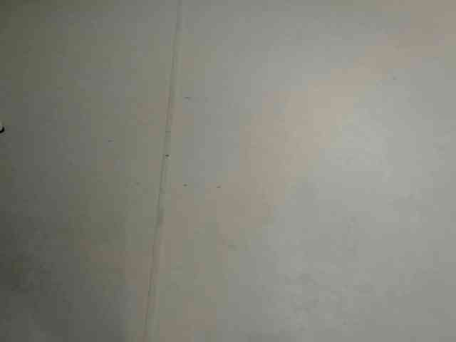vvictoriaxxx webcam