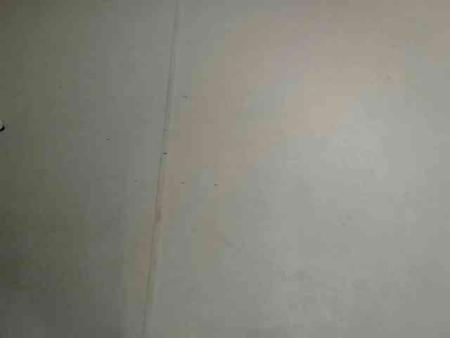 vvictoriaxxx webcam