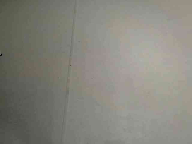 vvictoriaxxx webcam