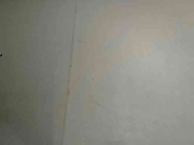 vvictoriaxxx webcam