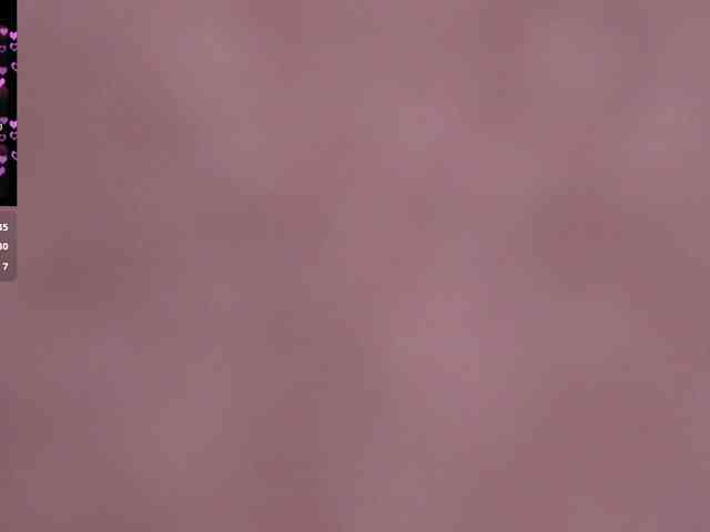 Arizona-Musee webcam