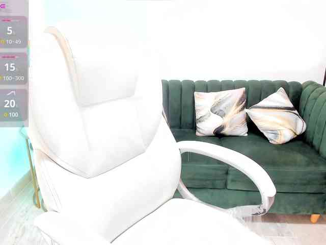 Arizona-Musee webcam