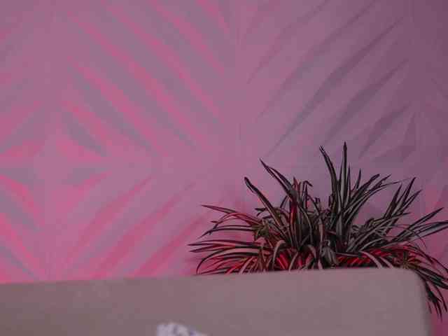 LiamCarter LiamCarter