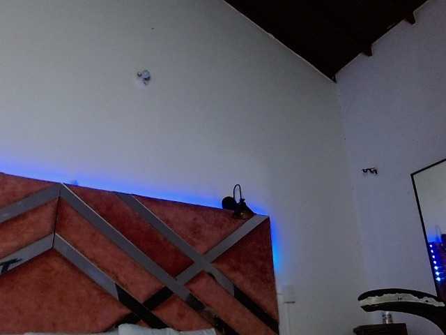 madame-ibby from BongaCams is Freechat