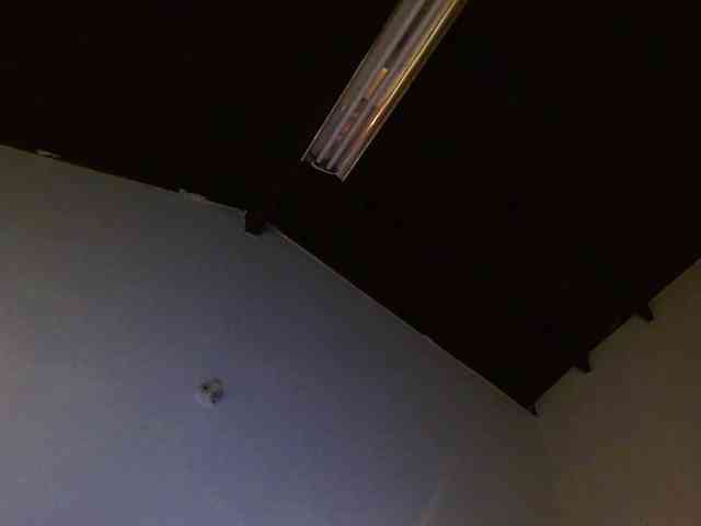 madame-ibby webcam