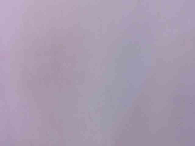 EbonyCoWorker webcam