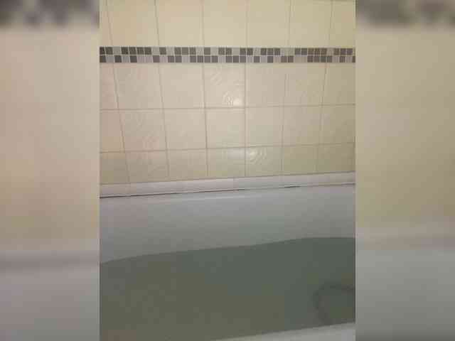 HumbleBlossom webcam