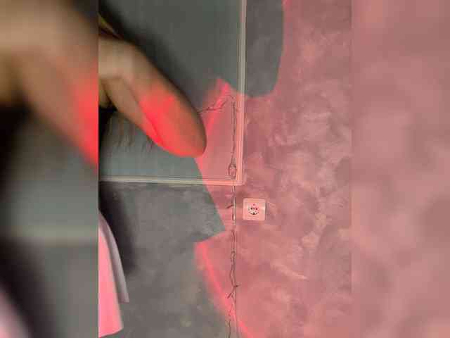 HumbleBlossom webcam