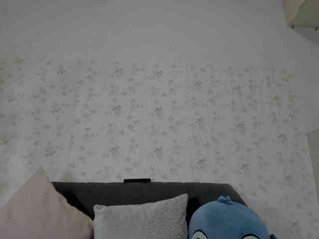 Abby-thompson webcam