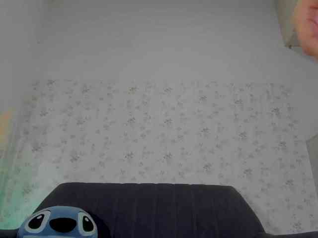Abby-thompson webcam