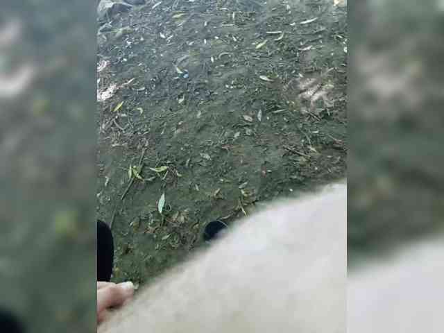 chat cam online HoneyKJ