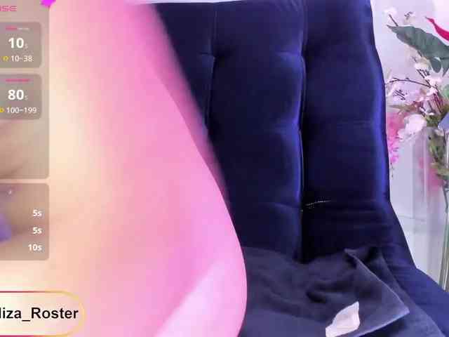 akalizaroster webcam