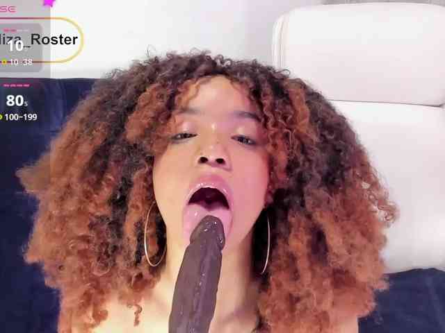 akalizaroster webcam