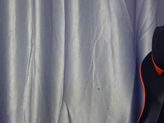 Mayer- webcam