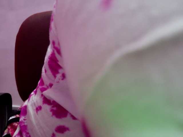 Tamilbabby2025 from BongaCams is Freechat