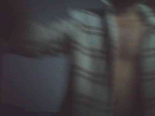 KammatsuGUM KammatsuGUM