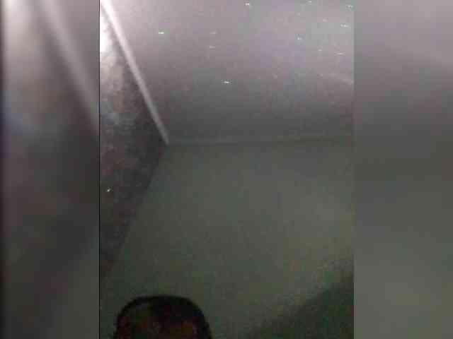 KammatsuGUM KammatsuGUM