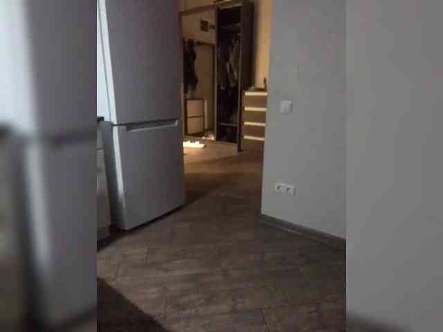 KammatsuGUM KammatsuGUM