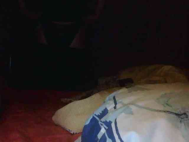 Liloudouce webcam