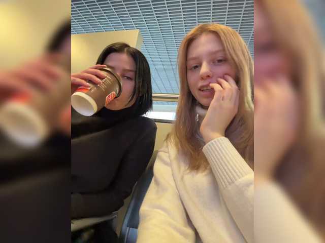 VibroMashulkaDashulka