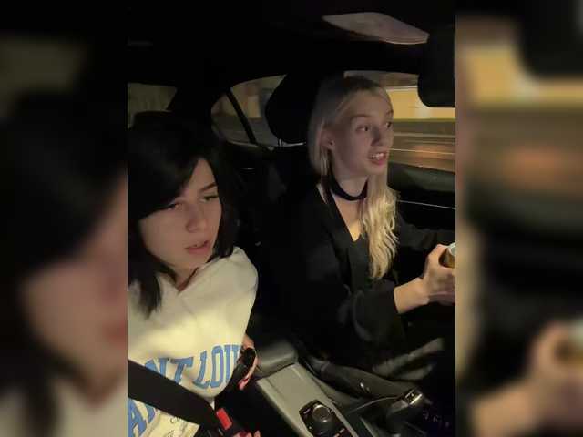 VibroMashulkaDashulka