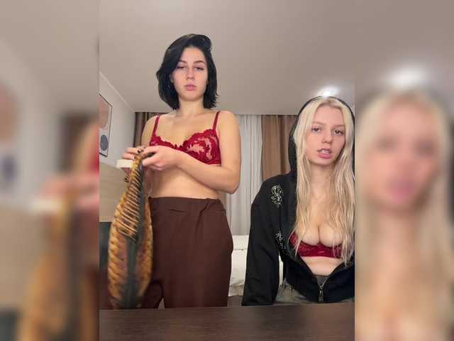 VibroMashulkaDashulka