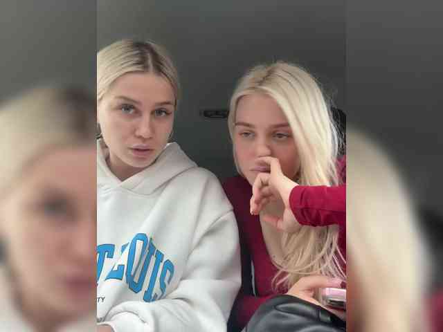 Модель: VibroMashulkaDashulka