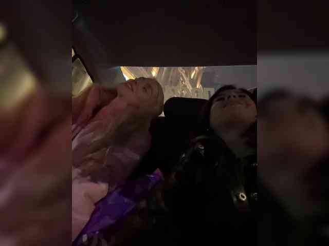 VibroMashulkaDashulka